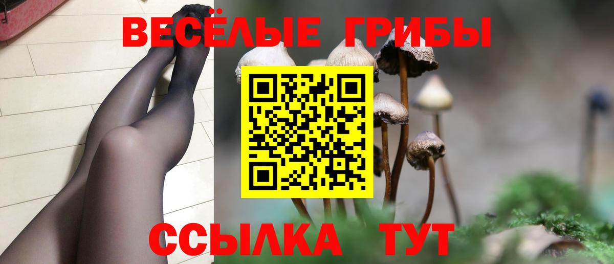 Галлюциногенные грибы GOLDEN TEACHER  Вход с VPN  хочу наркоту  Камышлов 