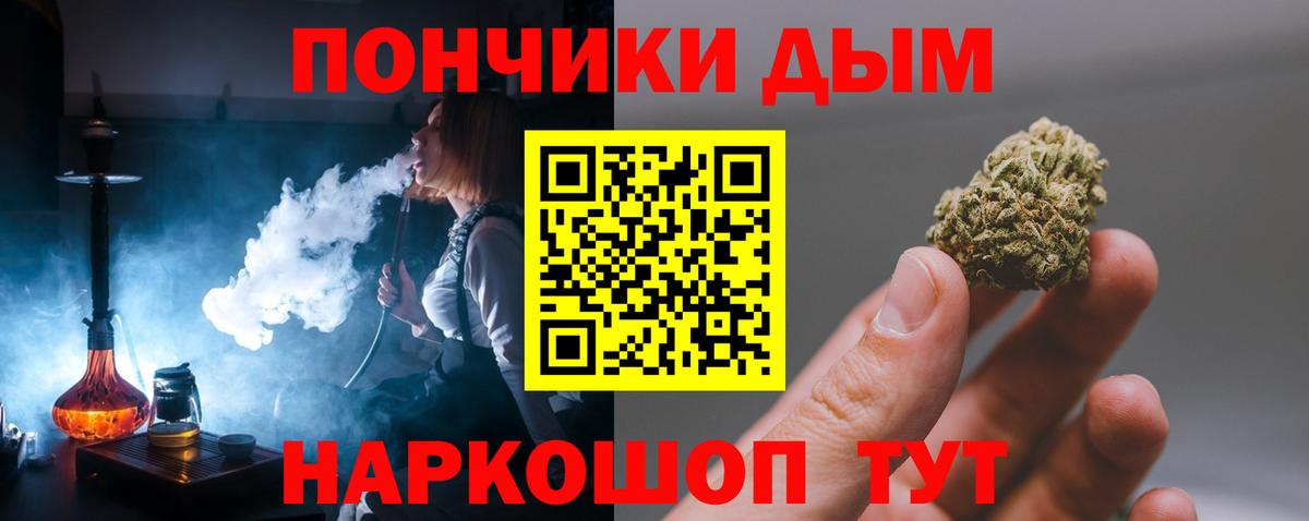 Каннабис SATIVA & INDICA  Конопля Bruce Banner  Вход с VPN  МАРИХУАНА план  Камышлов  Марихуана планчик 